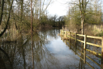 flooded lane